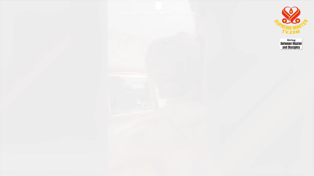 Thumbnail image for The Buddha or Messiah We Have Been Waiting For Is Here Now, Part 3