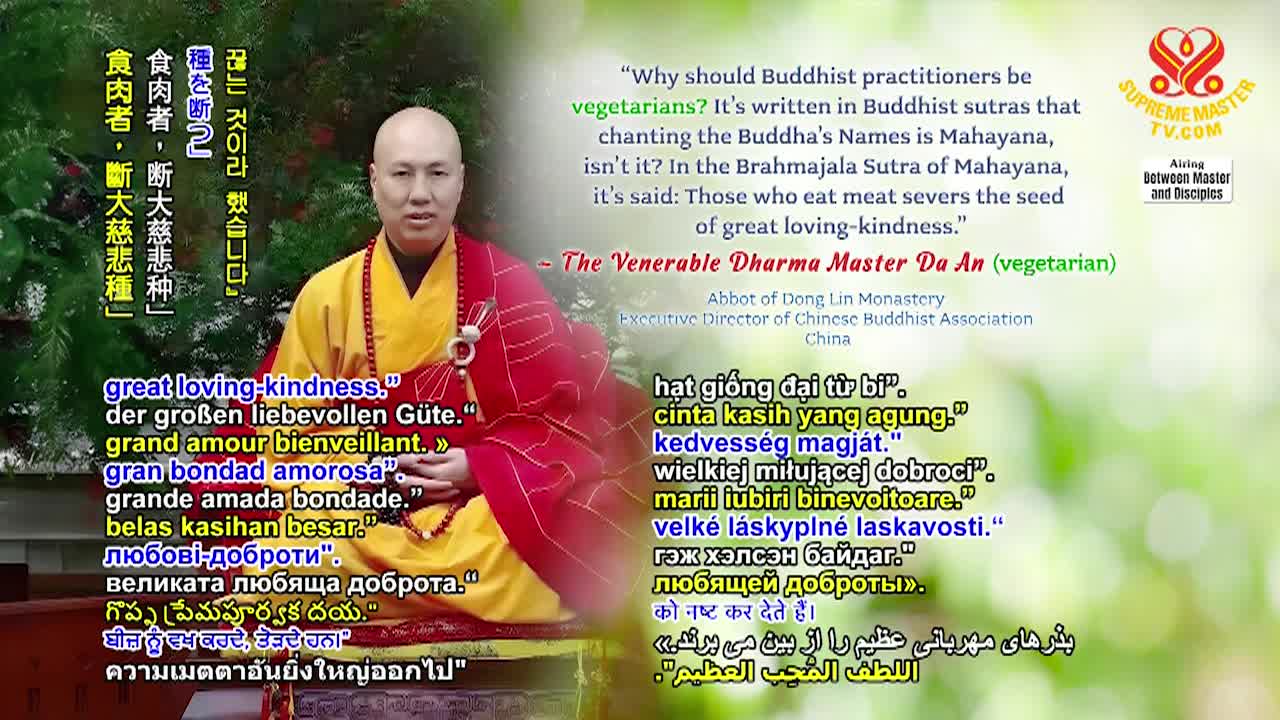 Thumbnail image for Supreme Master TV - The False Master's Name the World Has to Know, Part 4