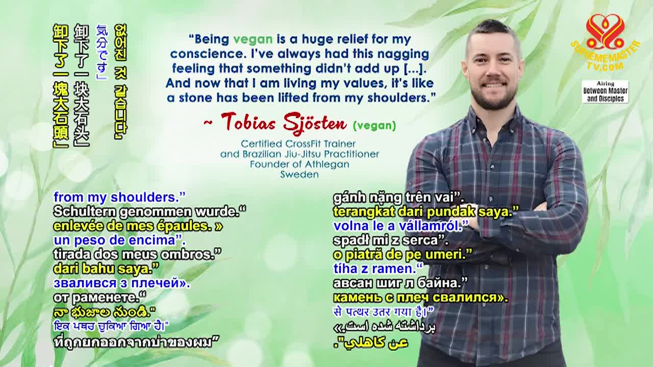 Thumbnail image for Supreme Master TV - The Zealous Ghost Falsely Declaring He Is Maitreya Buddha, Part 4