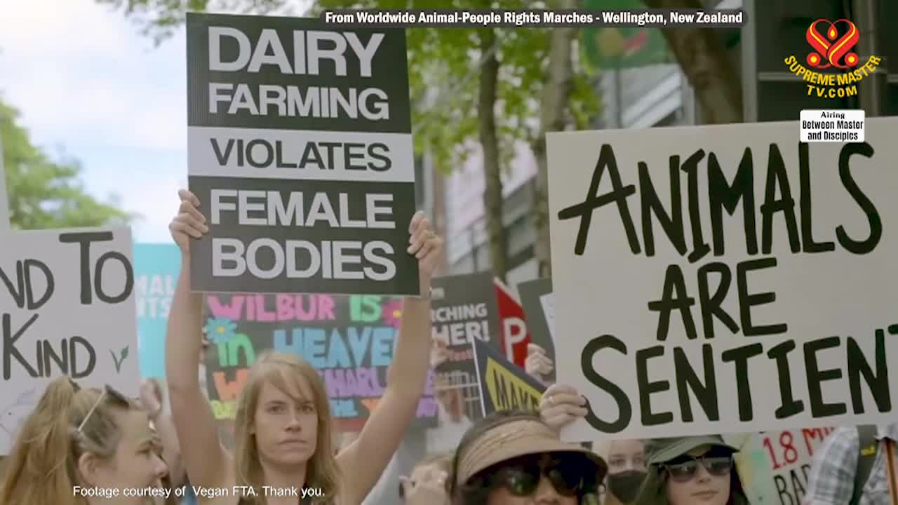 Supreme Master TV - The Joy of Growing, Part 2